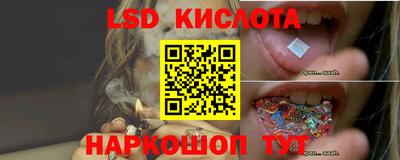 скорость Шебекино