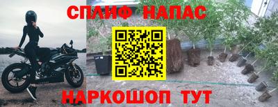 скорость Шебекино